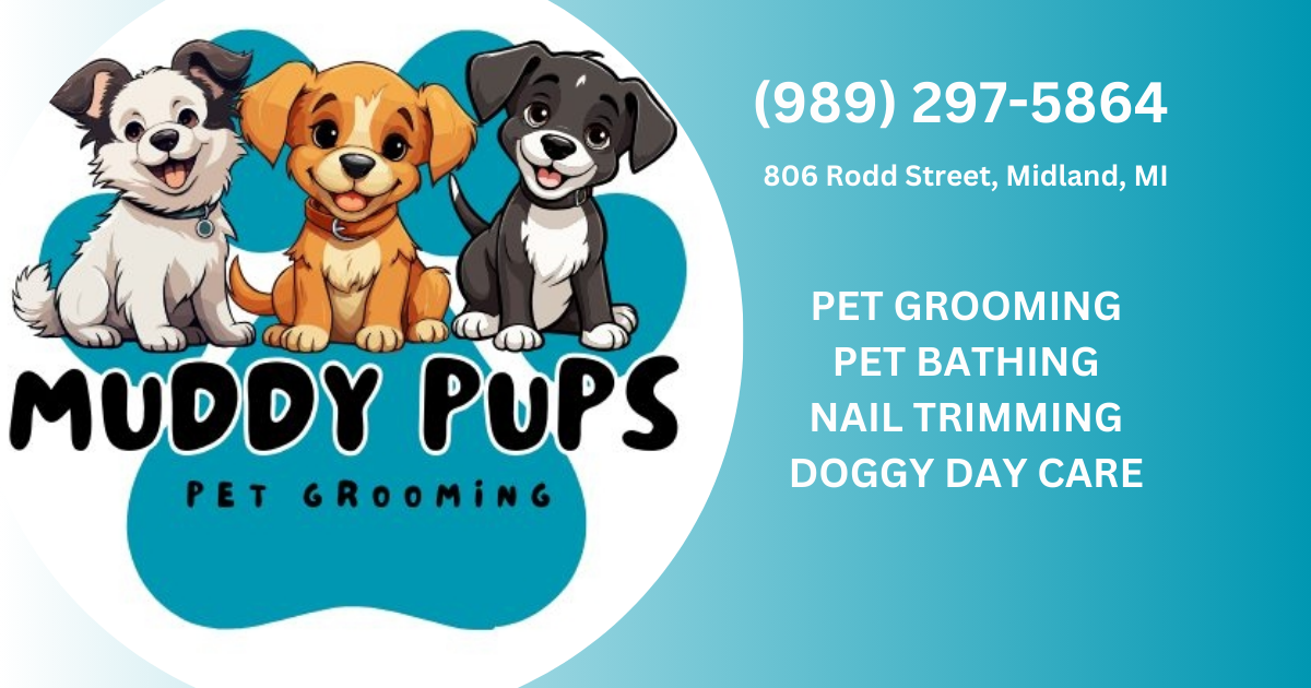 Expert Pet Grooming Doggy Day Care Muddy Pups